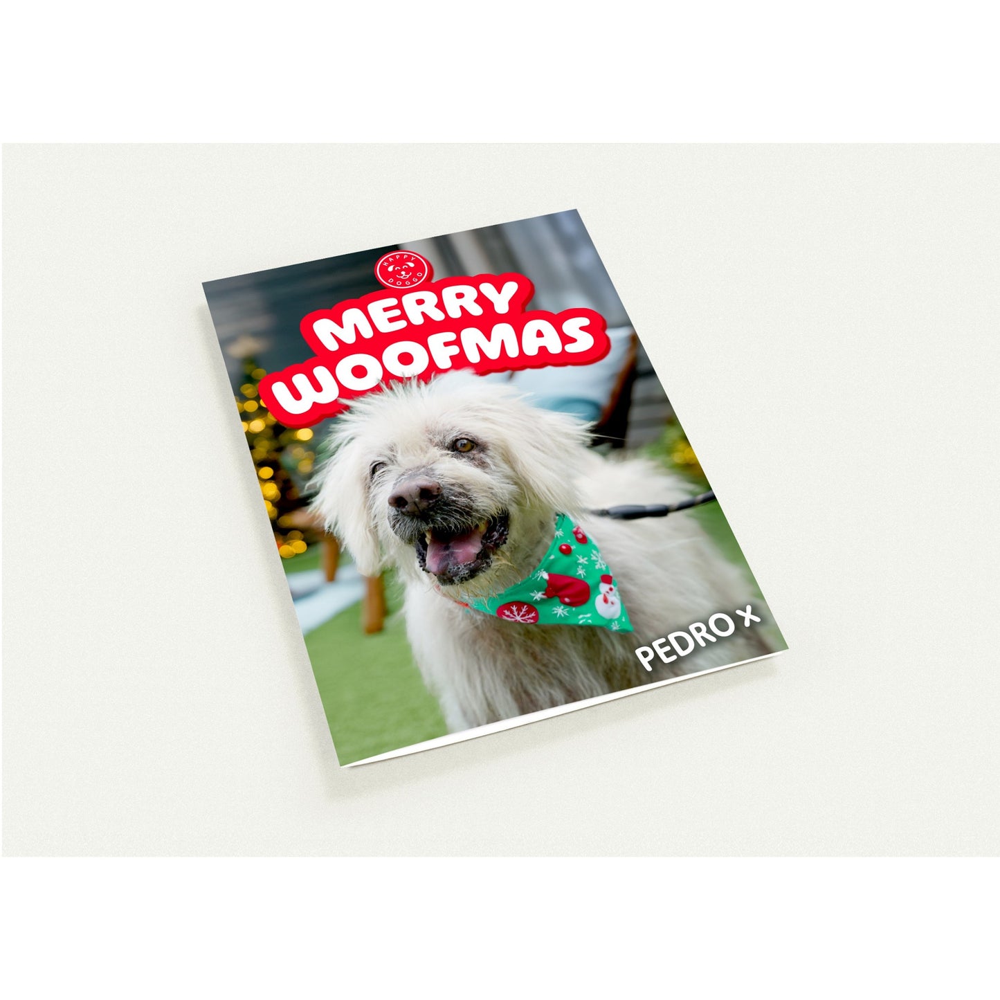 26ab5281-84c8-4159-a761-723842bf0379