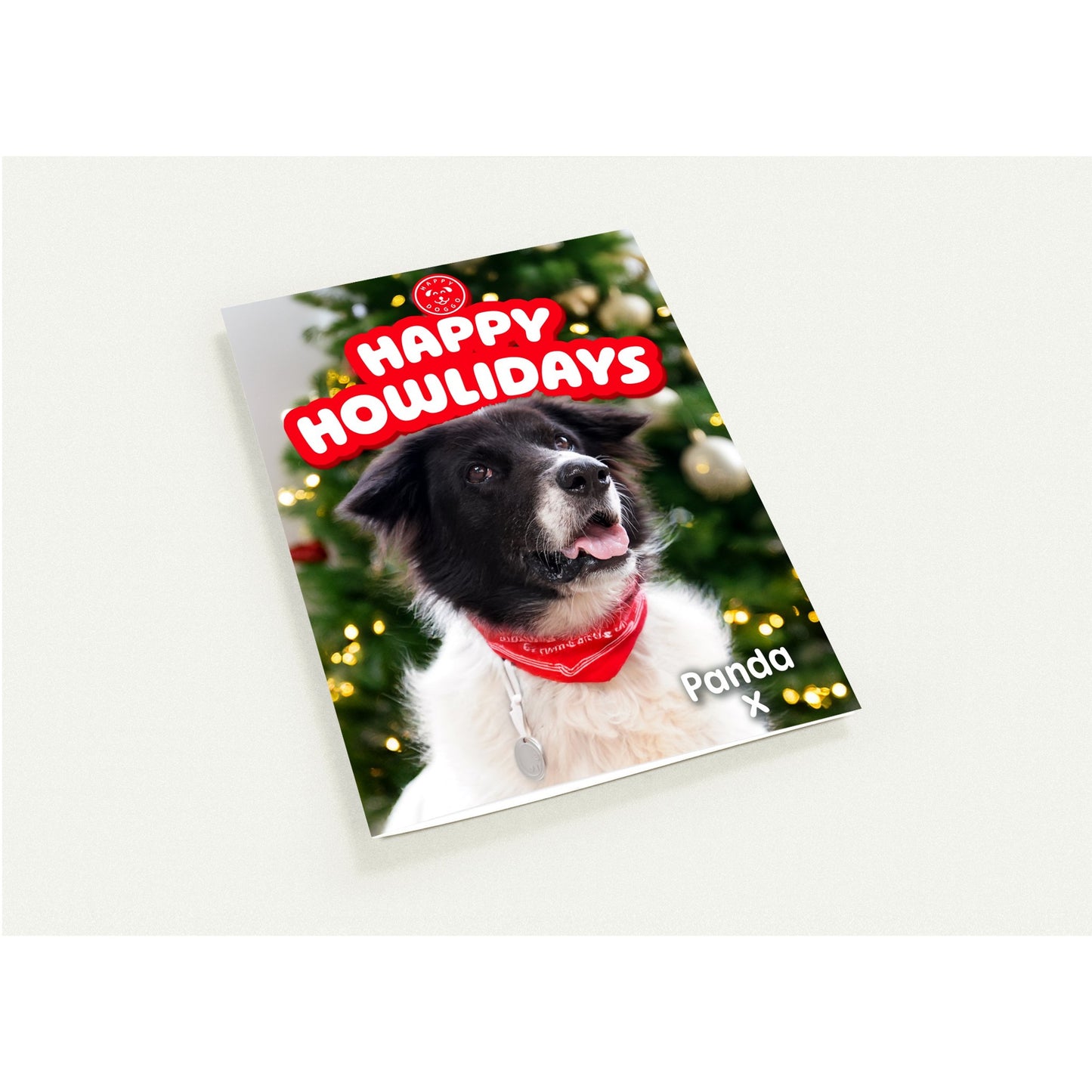 27e3c3bd-d251-4bae-ab8f-822867f41699