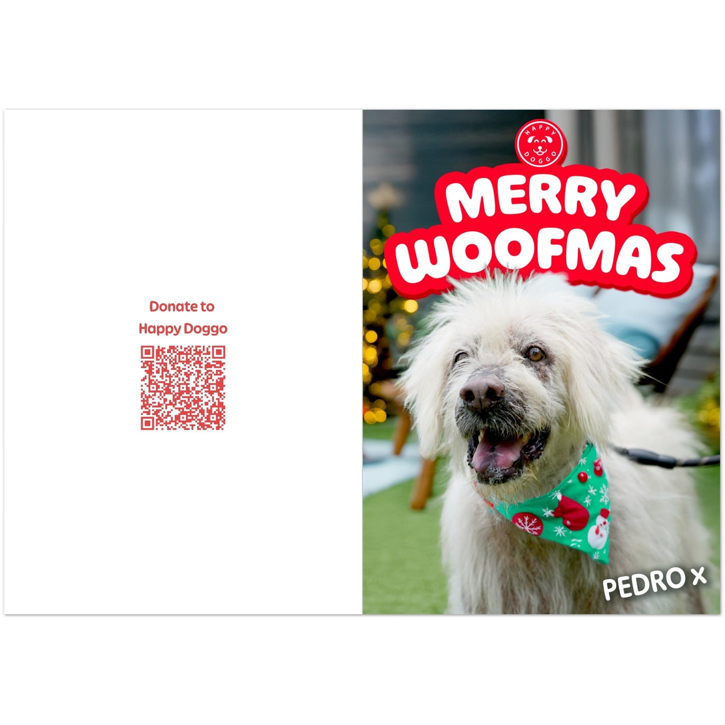 2ce0c972-8b2f-4025-89f7-9ebb6c0cd669