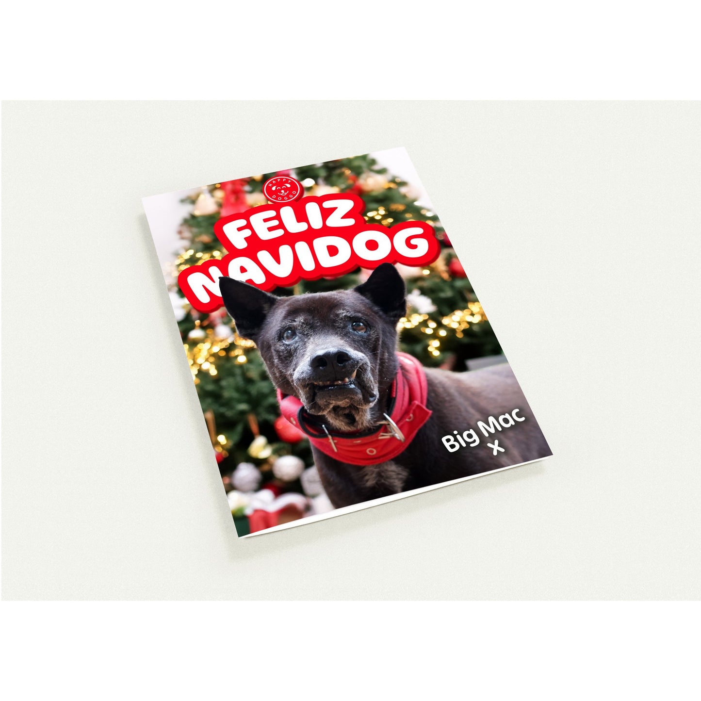 9bd2cc33-5623-44be-8ef2-3cf2f3dc6726